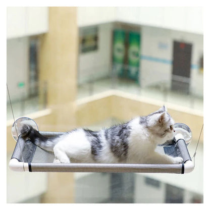 Window Watcher Perch™