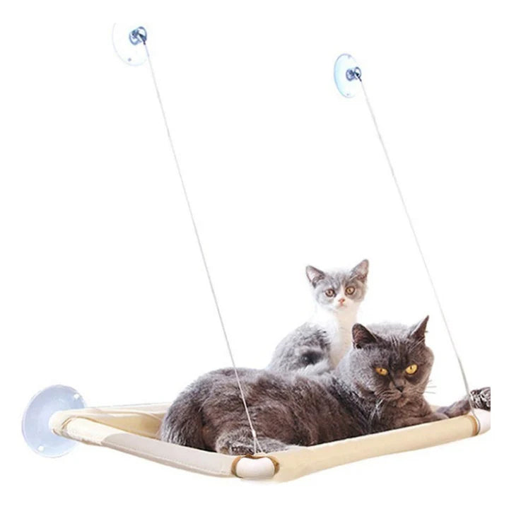 Window Watcher Perch™