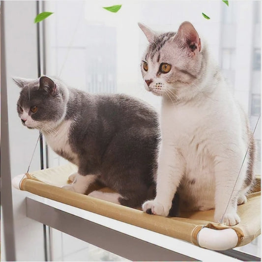 Window Watcher Perch™