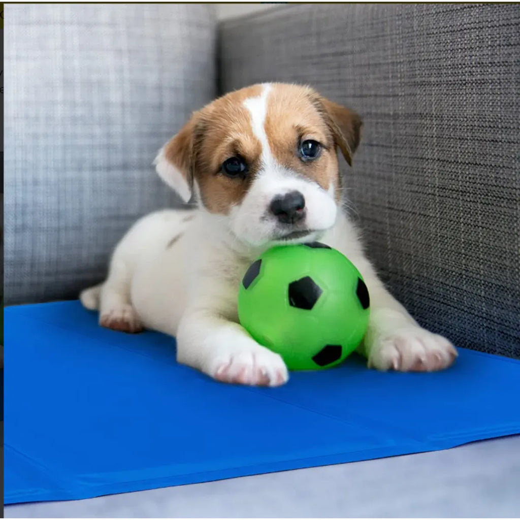 Ever-Cool Pet Mat